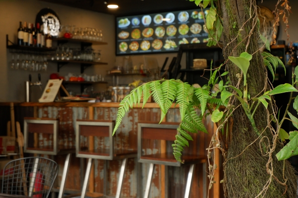 Coffee Bar